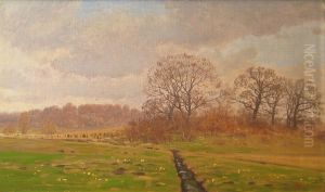 A meadow near the woods at Norre Alslev. by Hans Friis