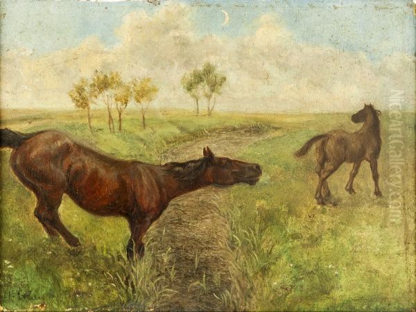 Twee paarden in de wei - view 1