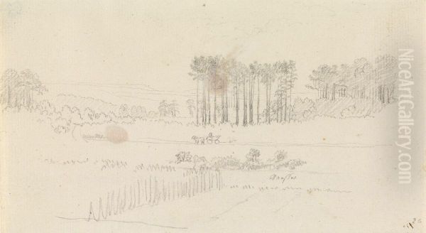 Landschaft mit hohen Kiefern und Pferdewagen - view 1