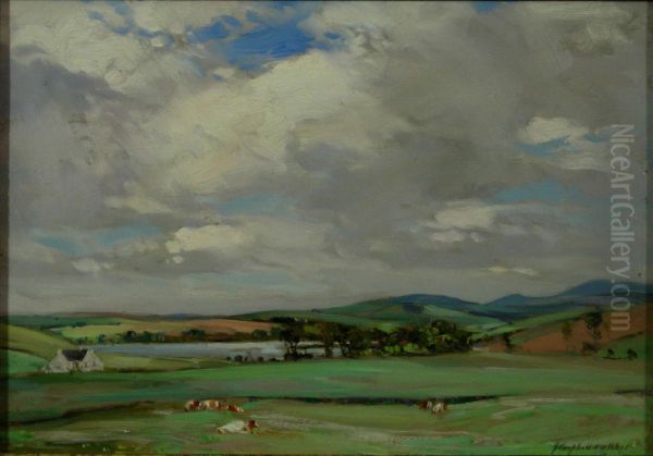 Cows In A Meadow With Rolling Hills Beyond - view 1