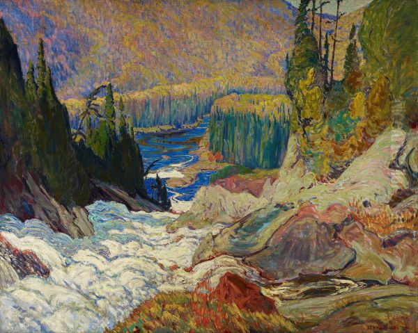 Falls, Montreal River - view 1