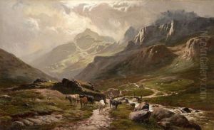Grizedale, Westmorland