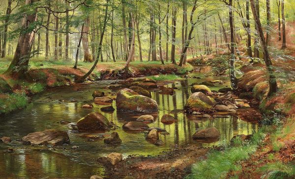 A spring day in the woods with the sunlight reflected in a stream. - view 1