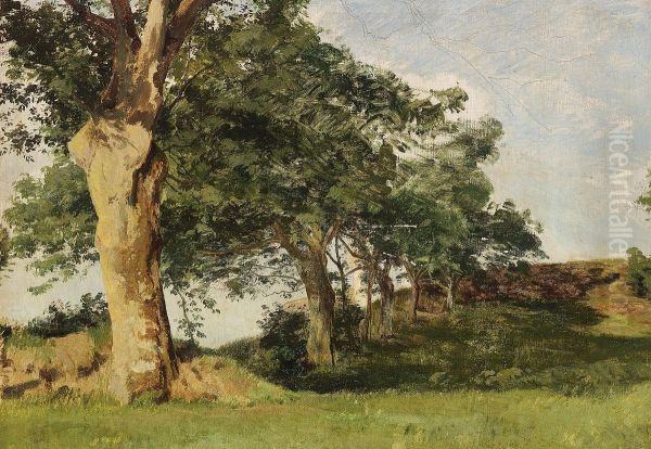 Study of trees along a fence. - view 1