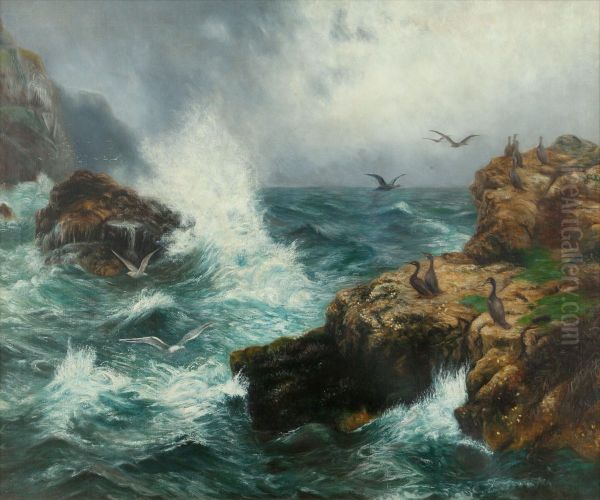 Cormorants of the Scottish Coast - view 1