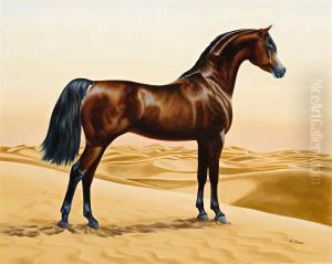 Arab horse by William Barraud