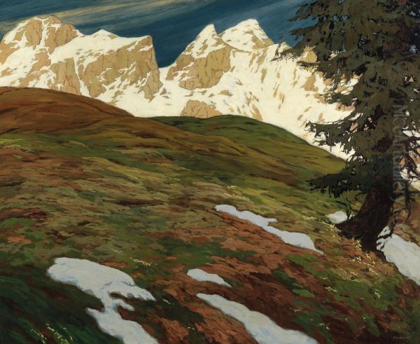 Springtime in the mountains - view 1