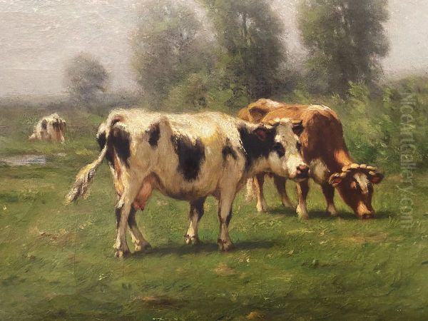 A Summer Morning - view 1