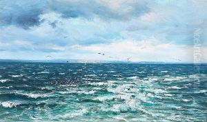 Seascape with resting seabirds off AEbelo. Seascape with resting seabirds off AEbelo.