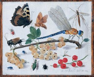 Unknown titleUnknown title by Jan van Kessel the Elder