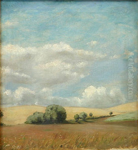 Summer landscape with fields and clouds. Summer landscape with fields and clouds.