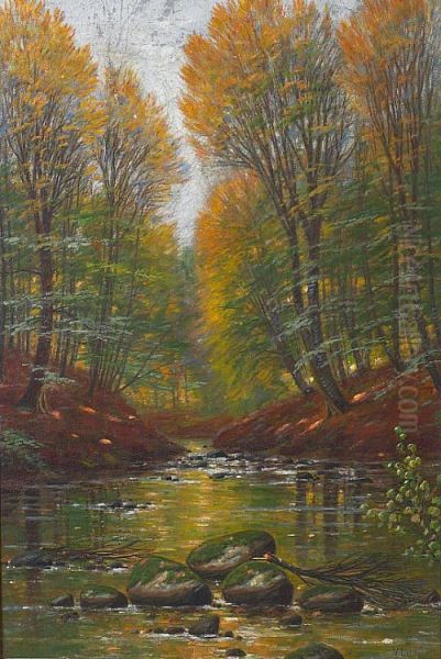 The forest at Moesgaard. - view 1