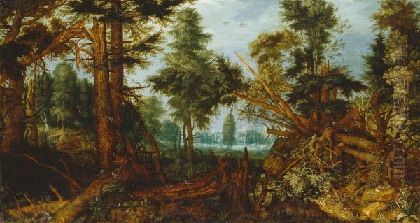 Woods after a storm - view 1