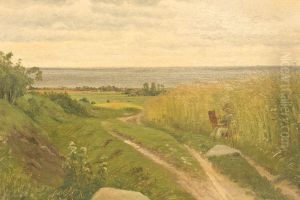Summer landscape on Moen. Summer landscape on Moen.