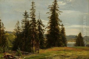 Summer landscape with pines near a lake.