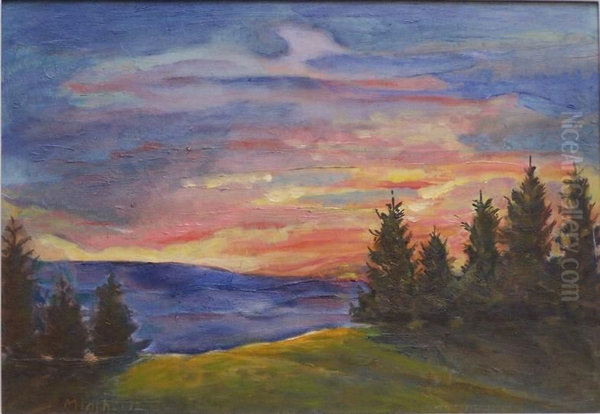Evening in Black Forest - view 1