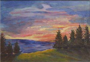 Evening in Black Forest Evening in Black Forest