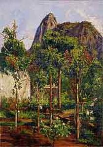 Corcovado. by Abigail de Andrade