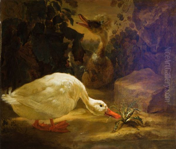 Ducks in a landscape 1693 - view 1