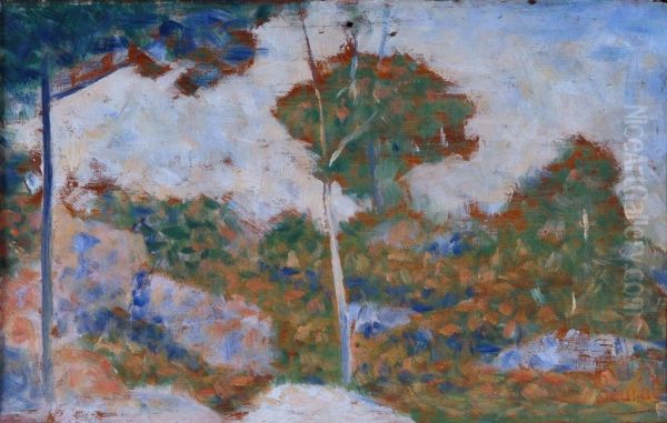 Barbizon forest in autumn - view 1