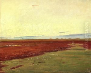 Sunset over Brovandene, at Skagen.