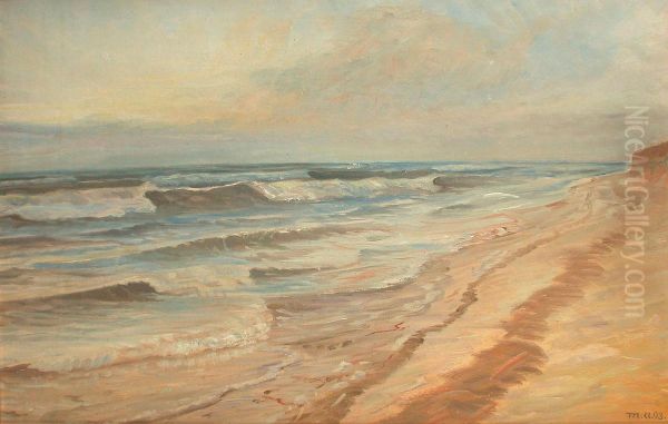 High Tide on Skagen Beach. - view 1
