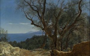 View over Nice, France by Janus Andreas Bartholin La Cour