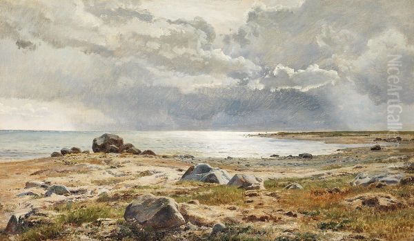 Strandparti fra Helgenaes med gra skyer over havet. - view 1