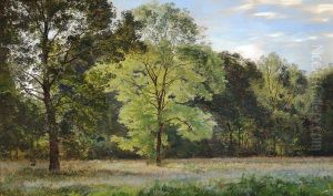 Open plains with tall trees.