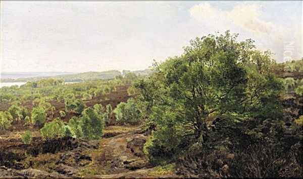 The landscape near the Silkeborg lakes. - view 1