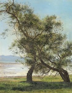 Old willow trees at Folle beach.