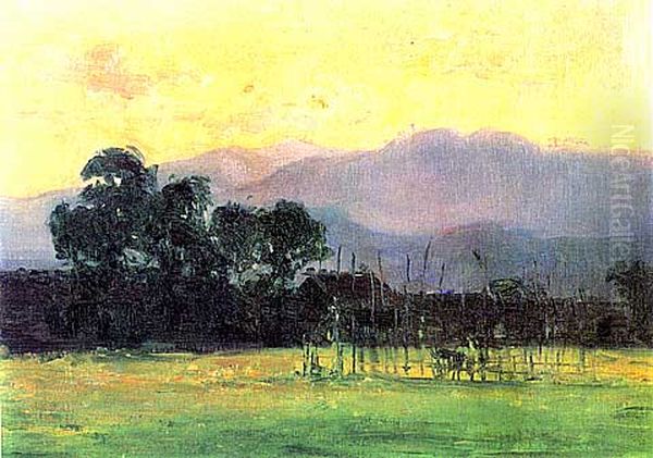 Morning Sun - view 1