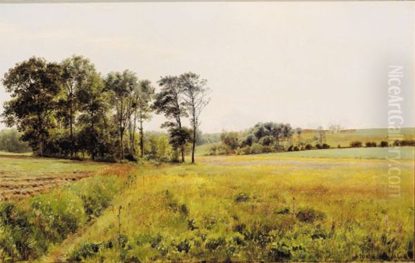 Summer landscape with meadow in bloom. - view 1