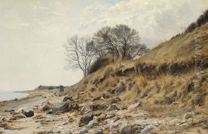 View from a beach. by Janus Andreas Bartholin La Cour