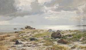 View of a beach with clouds and large stones.