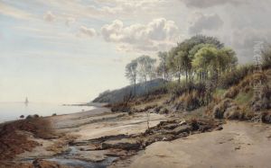 Parti fra Moesgaard Strand ved Aarhus