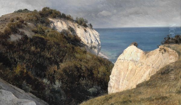 Parti fra Mons Klint - view 1