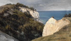 Parti fra Mons Klint by Janus Andreas Bartholin La Cour