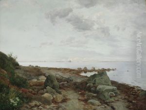 Parti fra Moesgaard Strand Parti fra Moesgaard Strand