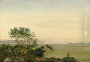 Landskab med udsigt over en so, morgenstemning. by Janus Andreas Bartholin La Cour
