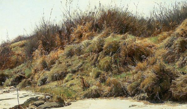 View of a beach with dunes. - view 1