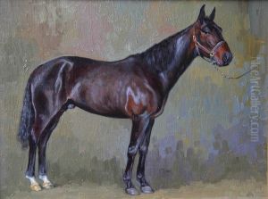 Standardbred.