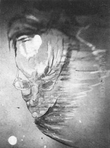 A portrait of Teodor Bialynicki-Birula flying in the skies