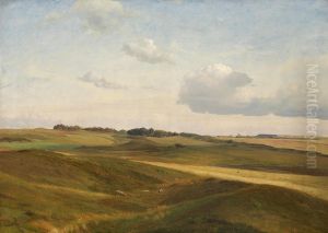 A summer afternoon. View from the vicinity of Rorvig.