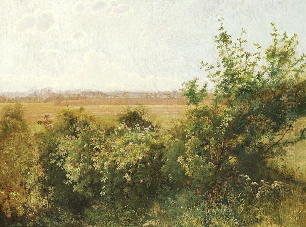 Wild roses. - view 1