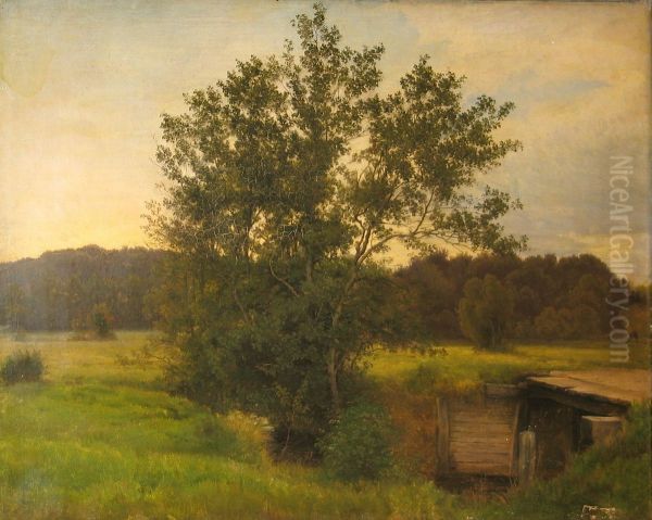 View of Ellekrat in Rold Forest. - view 1