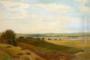 A landscape from Jutland at Knudso.