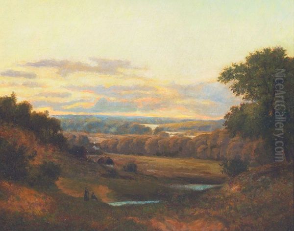 Danish landscape in Summer. - view 1