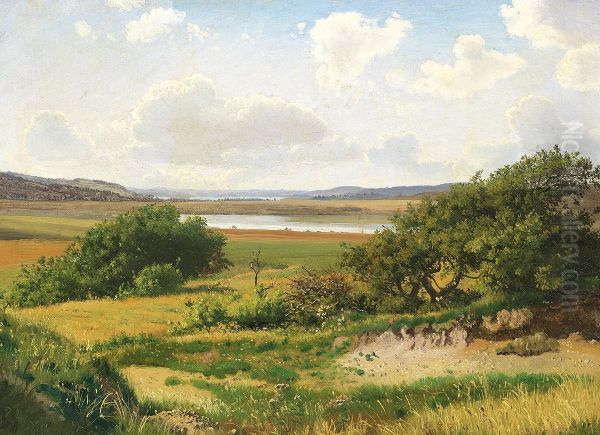 Danish landscape in Summer. - view 1
