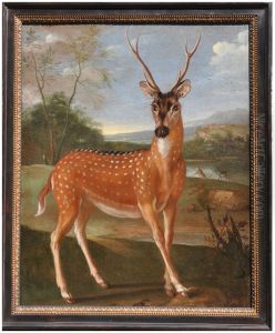Ganges deer